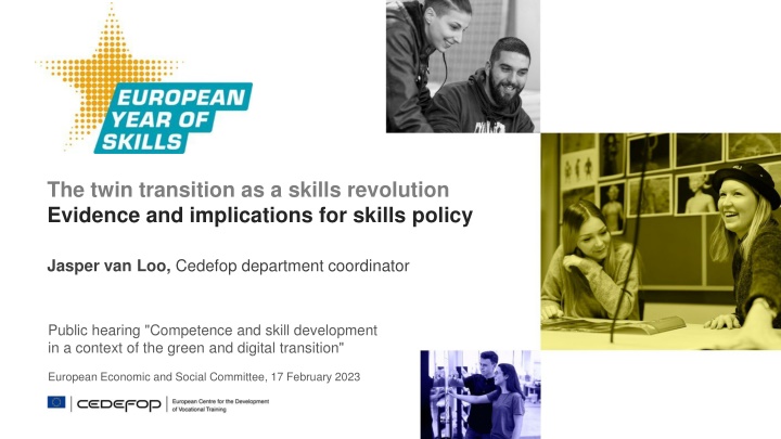 the twin transition as a skills revolution