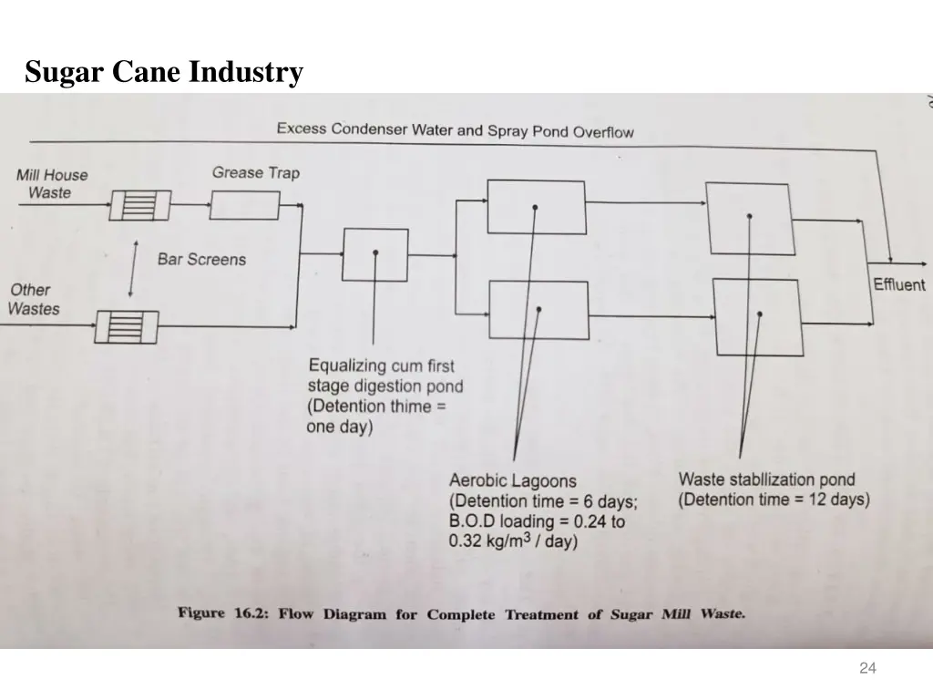 sugar cane industry 1