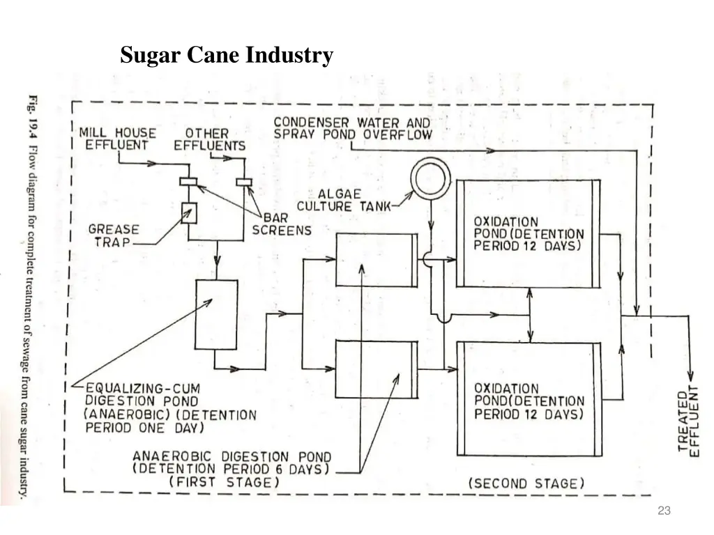 sugar cane industry