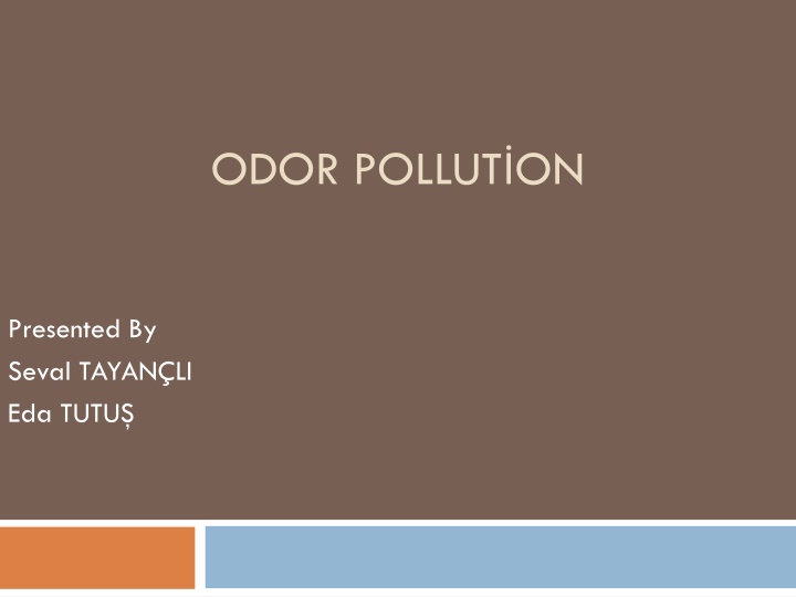 odor pollut on