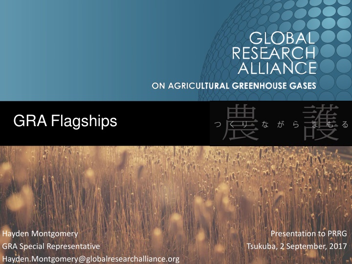 gra flagships