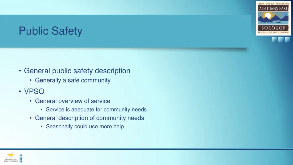 public safety