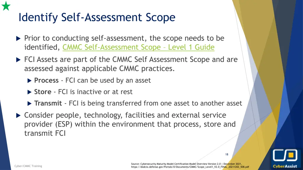 identify self assessment scope