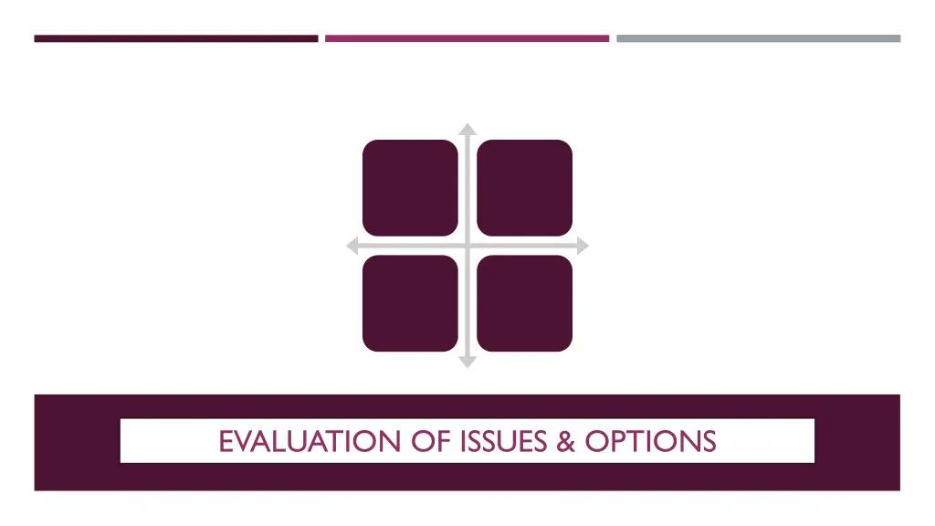 evaluation of issues options