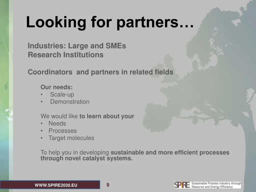 looking for partners