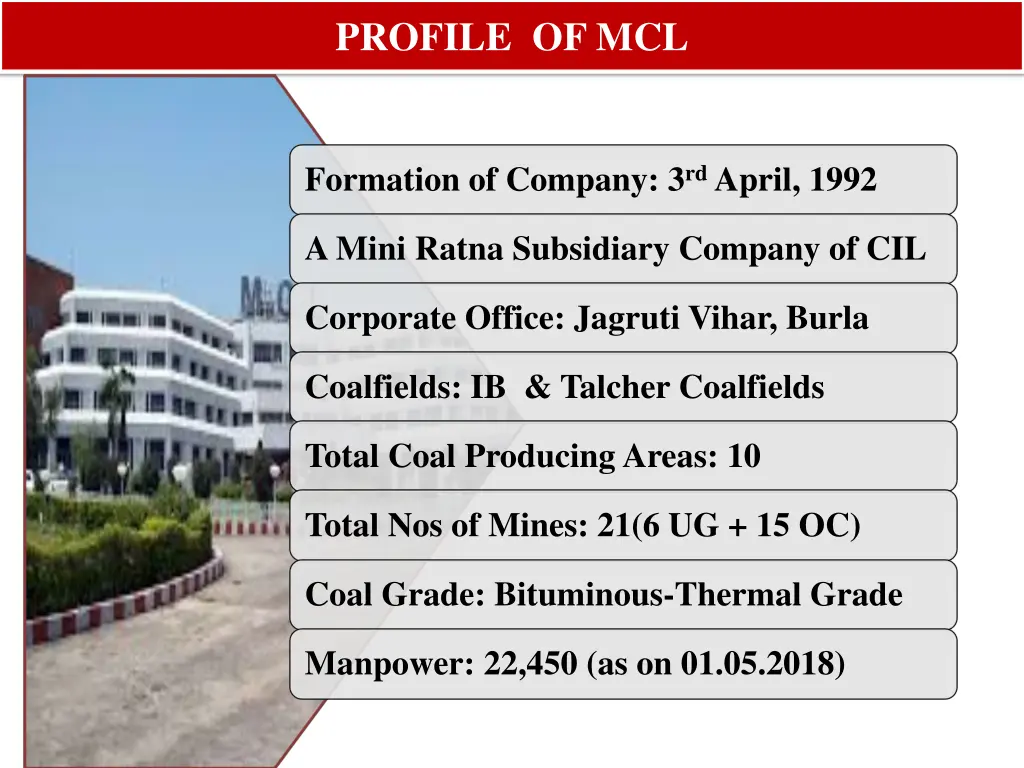 profile of mcl