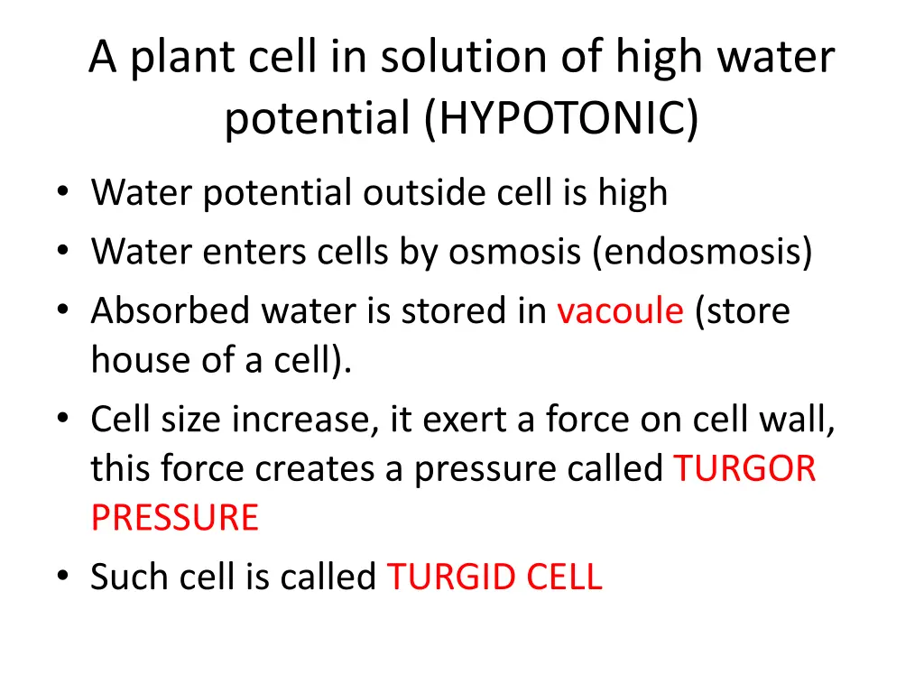 a plant cell in solution of high water potential