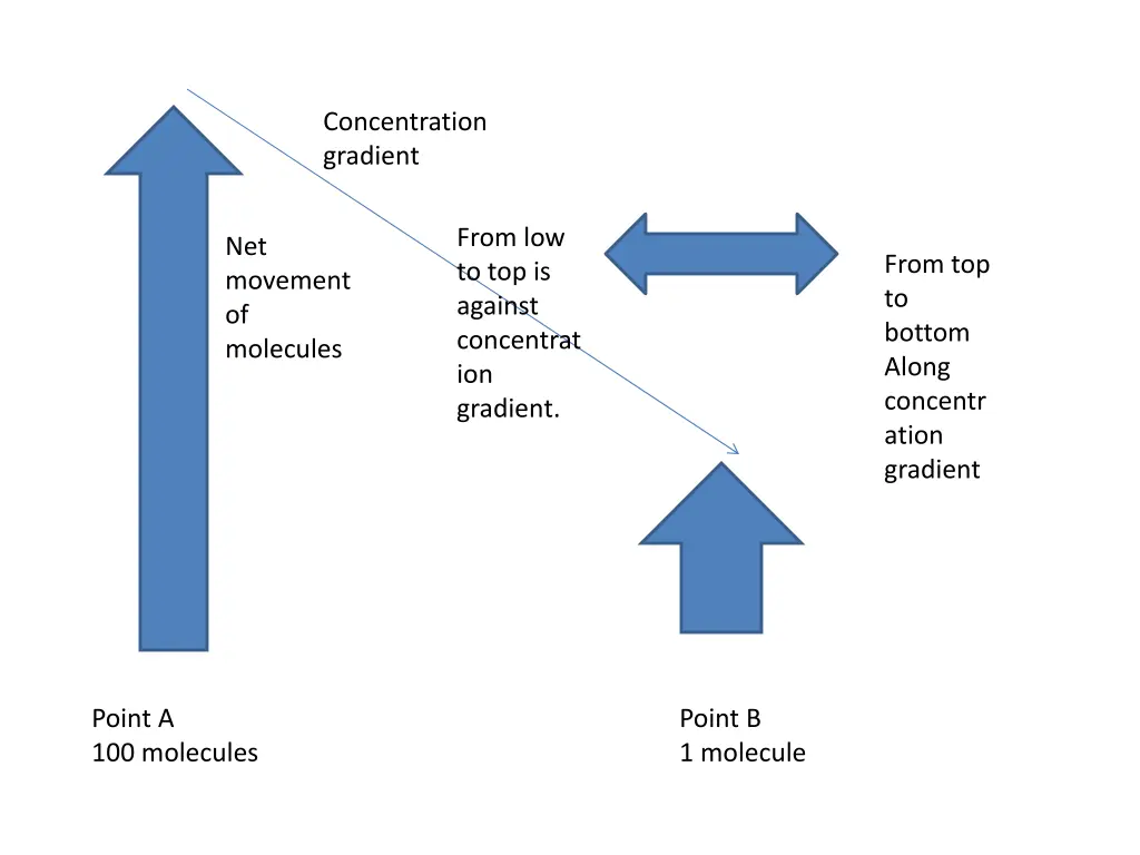 concentration gradient