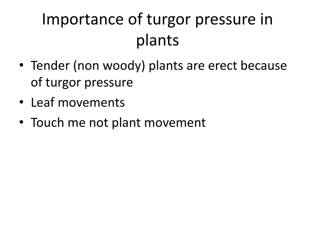 importance of turgor pressure in plants