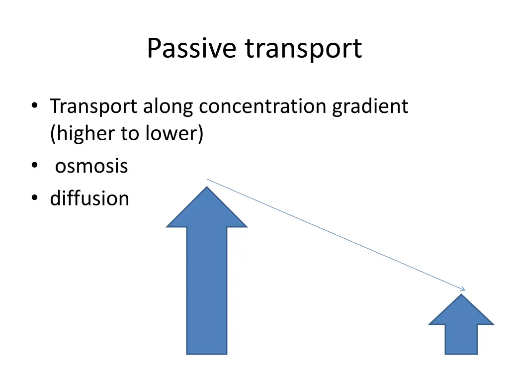 passive transport