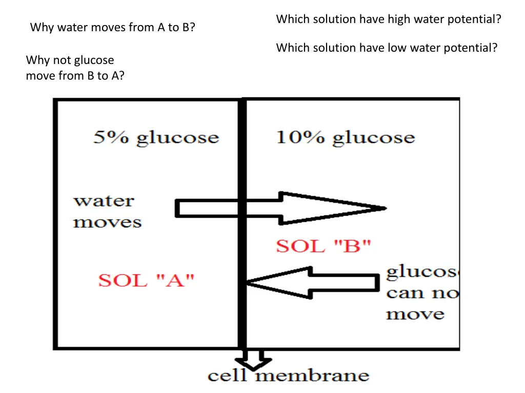 which solution have high water potential