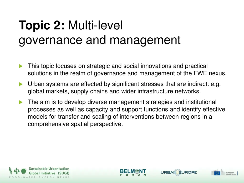 topic 2 multi level governance and management