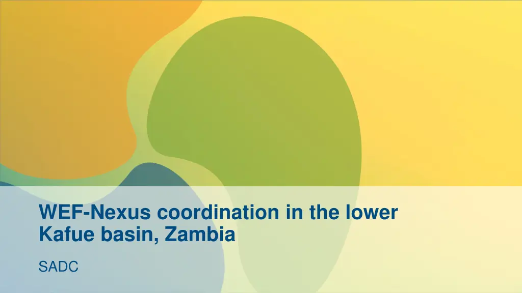wef nexus coordination in the lower kafue basin