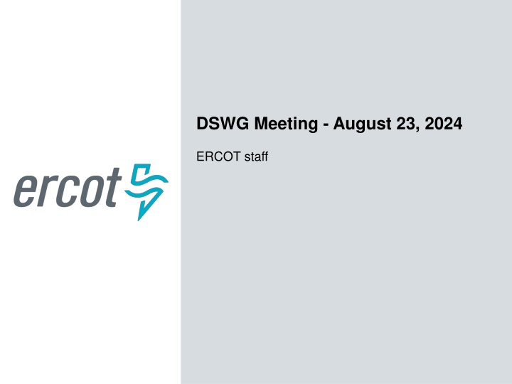 dswg meeting august 23 2024
