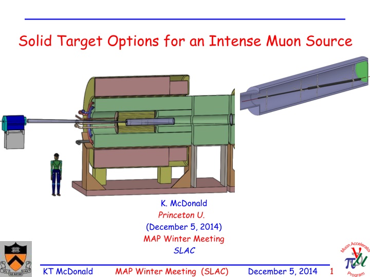 solid target options for an intense muon source
