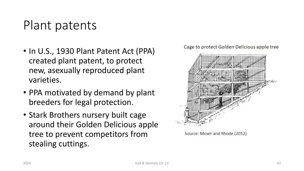 plant patents