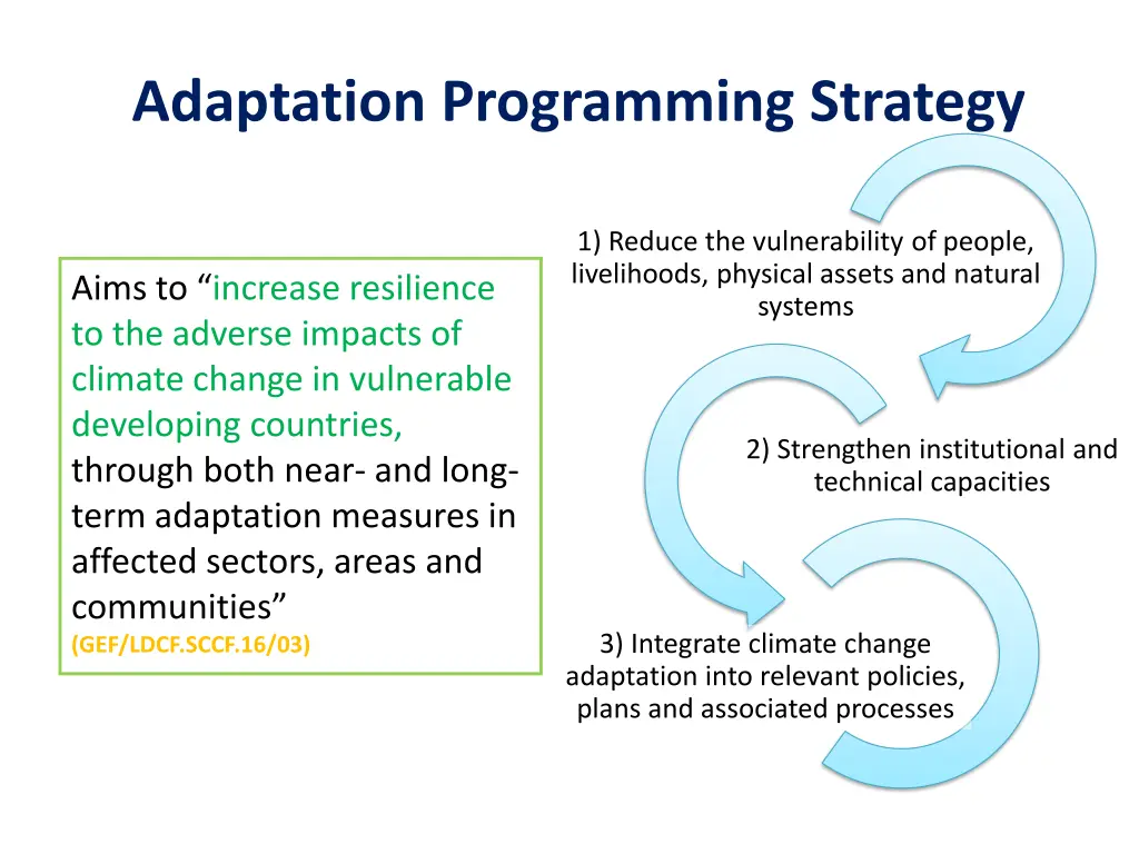 adaptation programming strategy