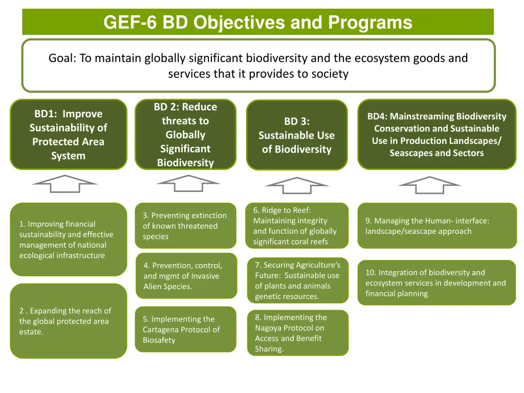 gef 6 bd objectives and programs