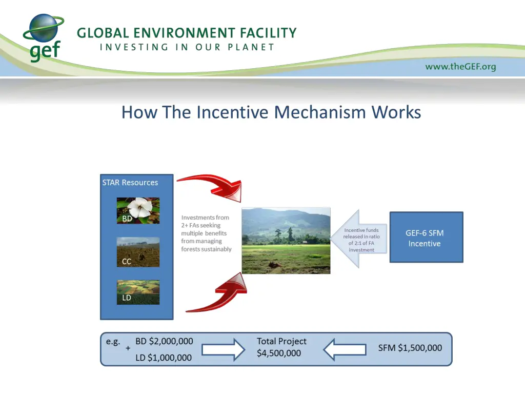 slide11