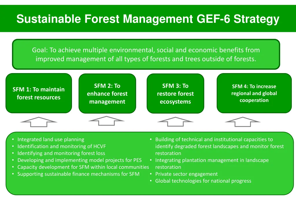 sustainable forest management gef 6 strategy