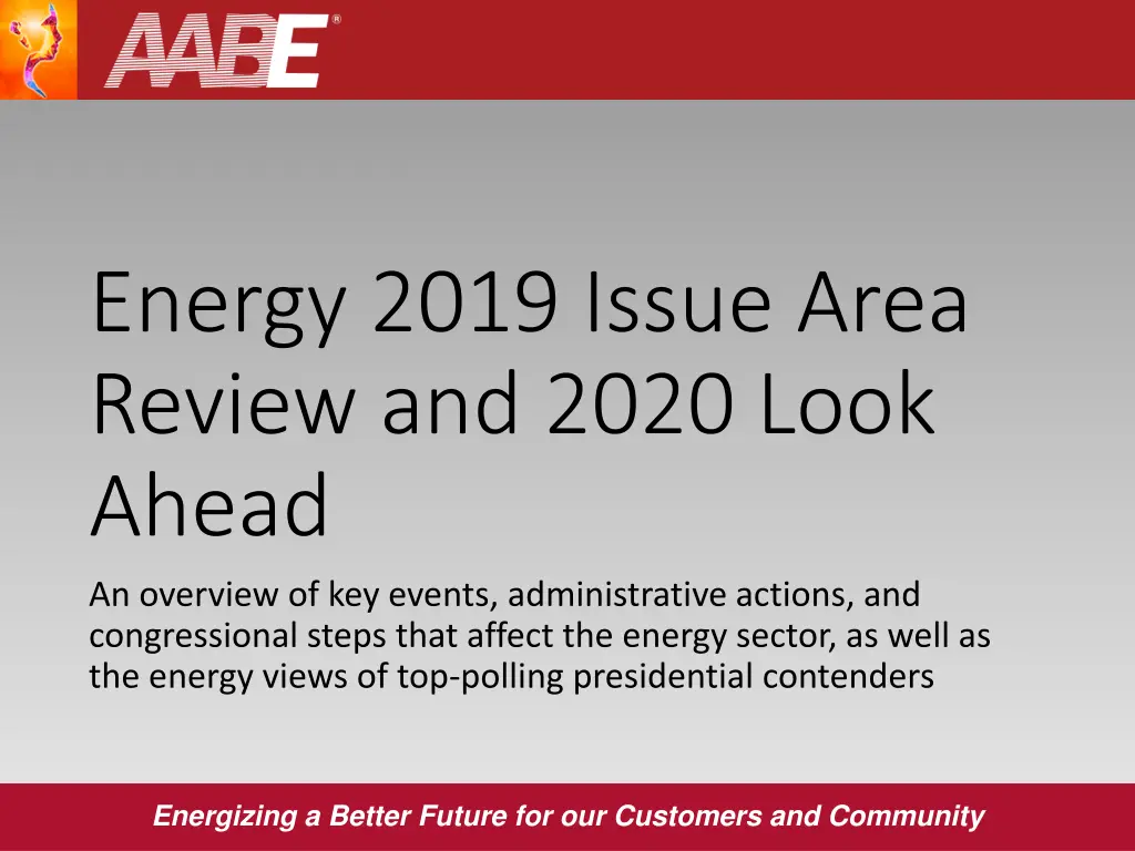 energy 2019 issue area review and 2020 look ahead