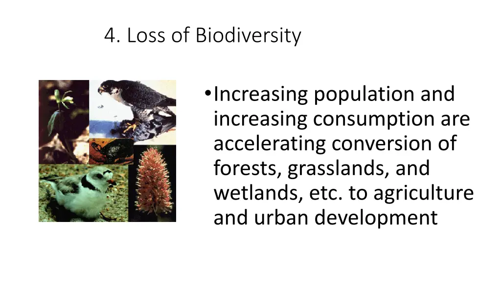 4 loss of biodiversity