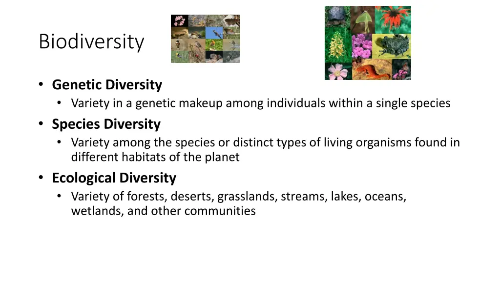 biodiversity
