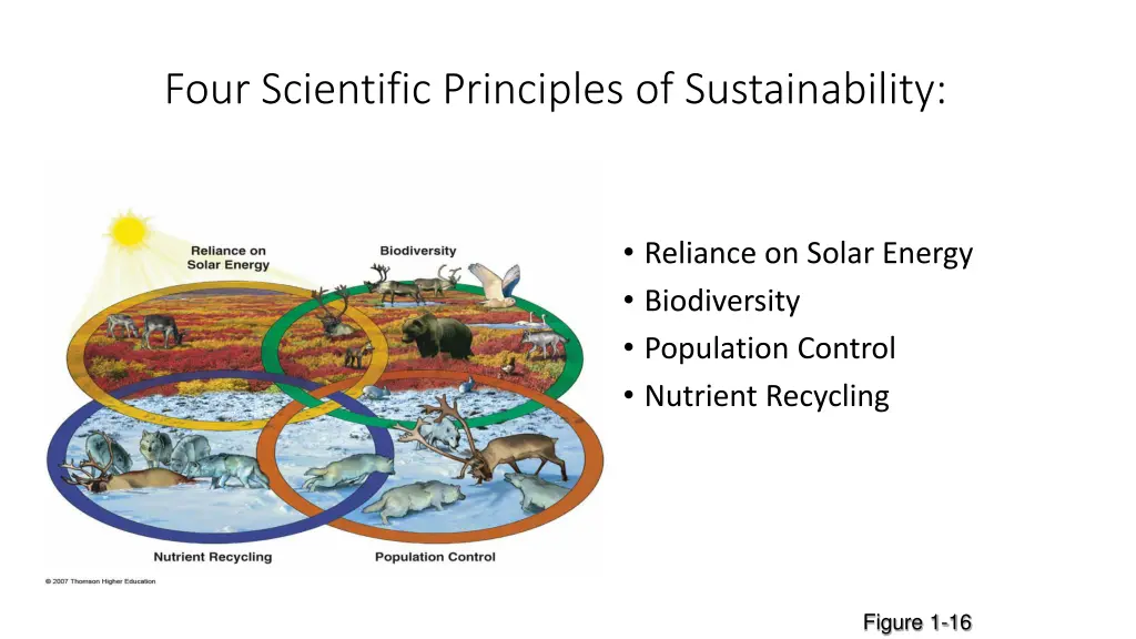 four scientific principles of sustainability