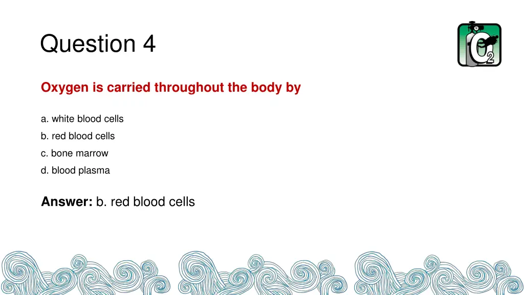 question 4