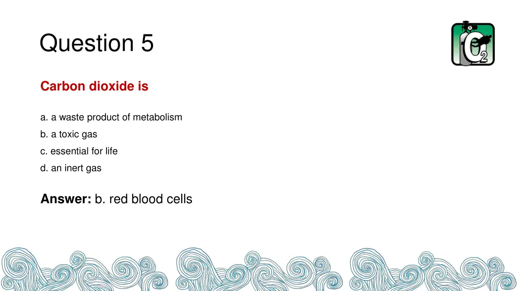 question 5