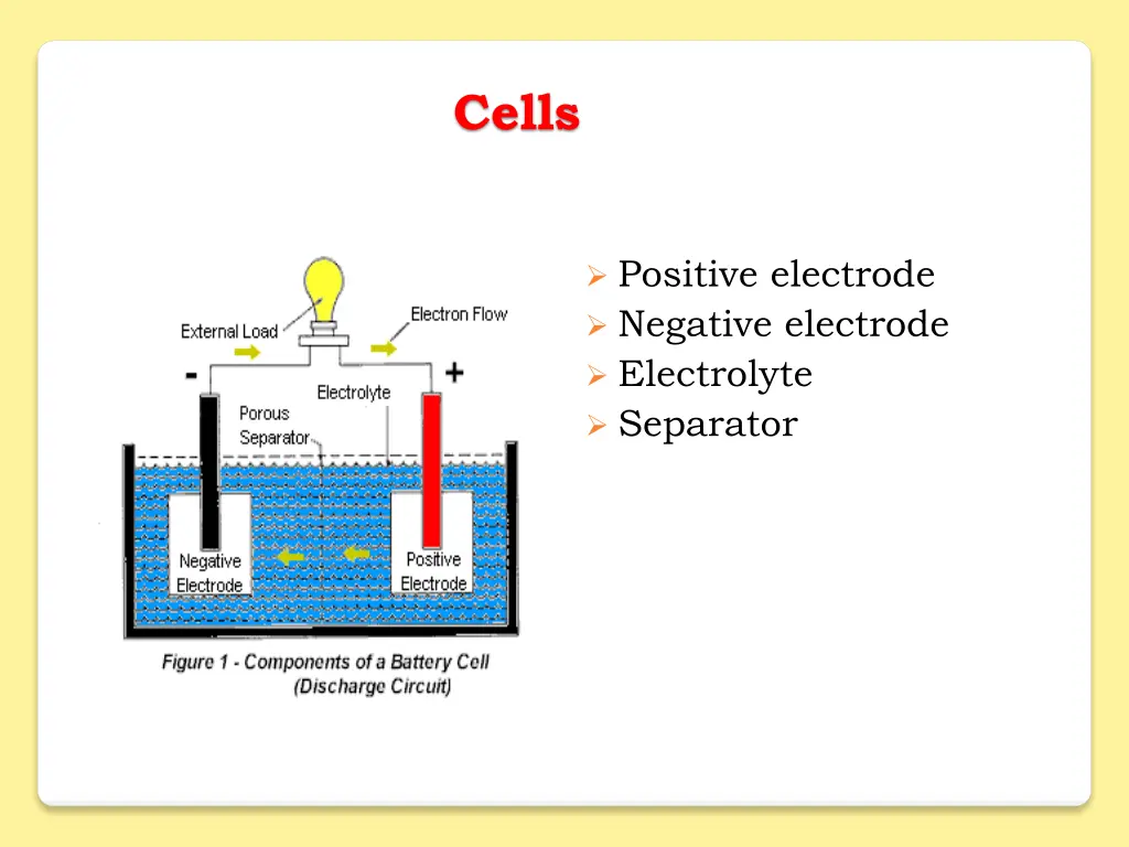 cells