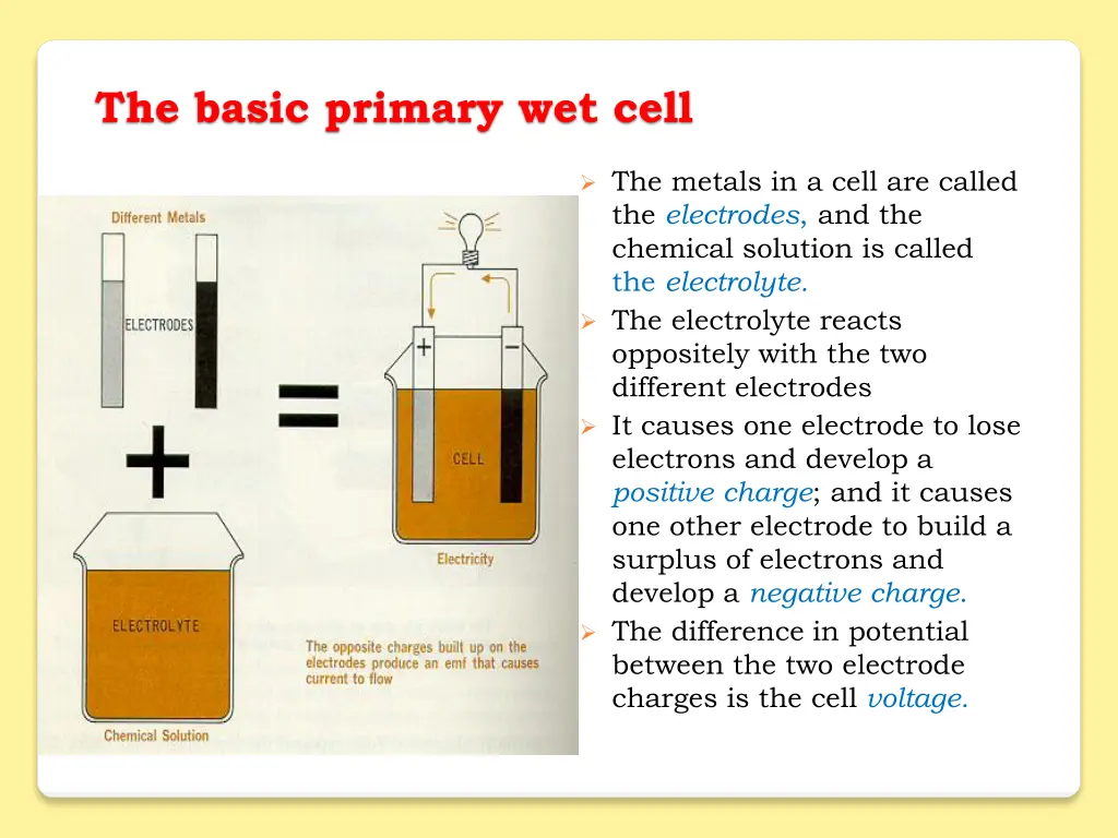 the basic primary wet cell