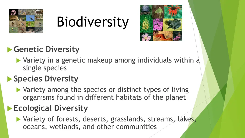 biodiversity