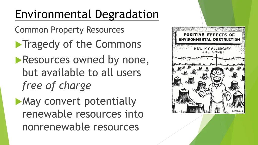 environmental degradation common property