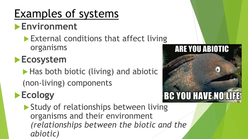 examples of systems environment external