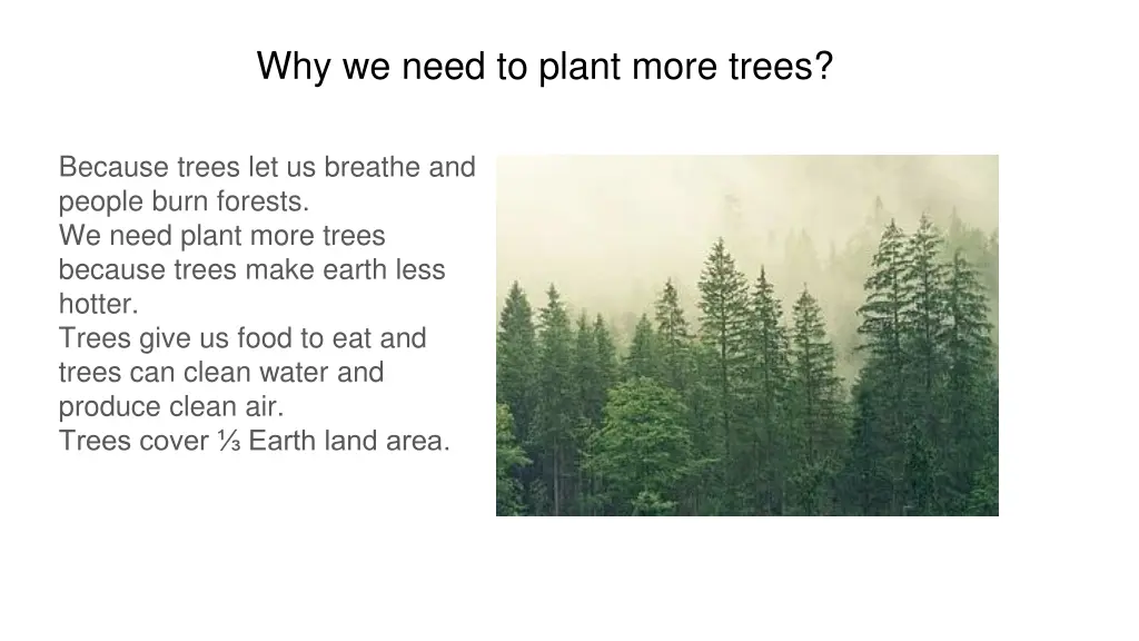 why we need to plant more trees