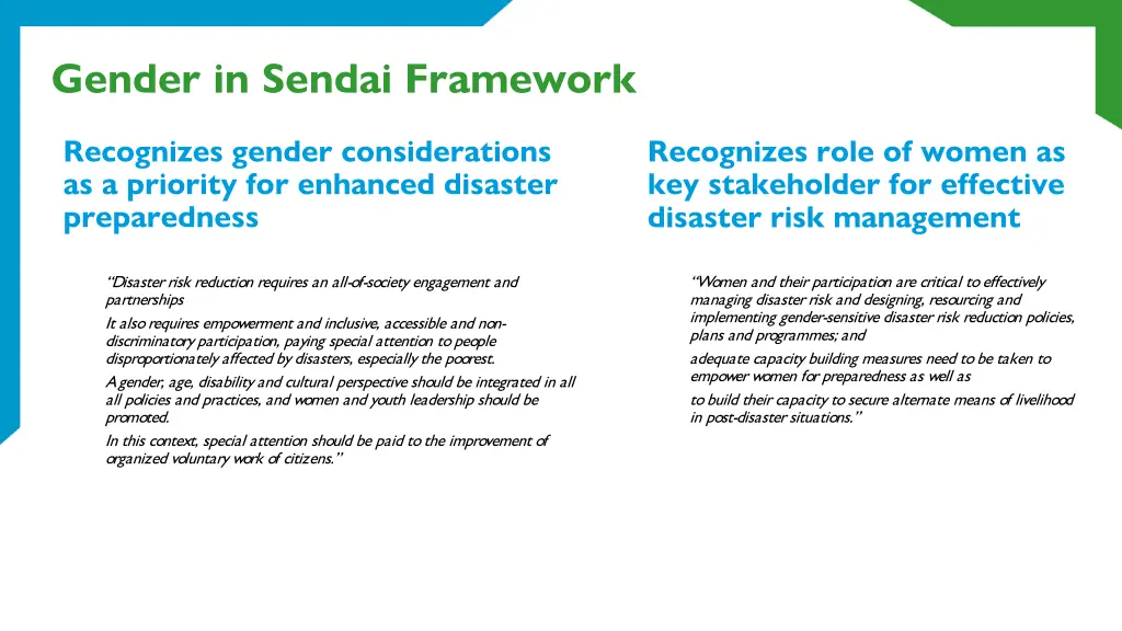 gender in sendai framework