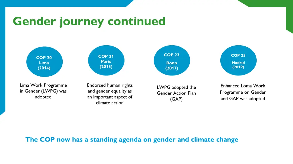 gender journey continued