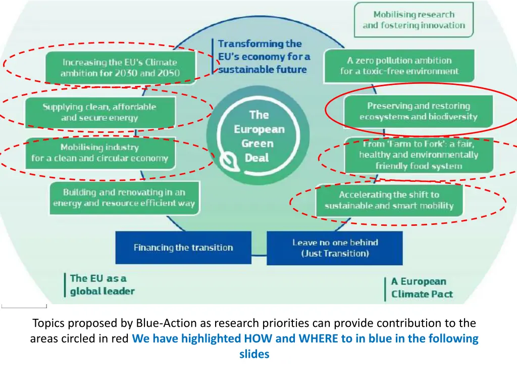 topics proposed by blue action as research 1