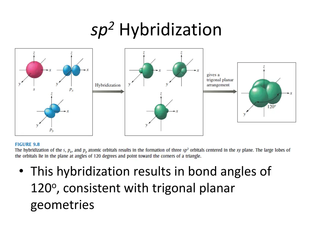 sp 2 hybridization 1