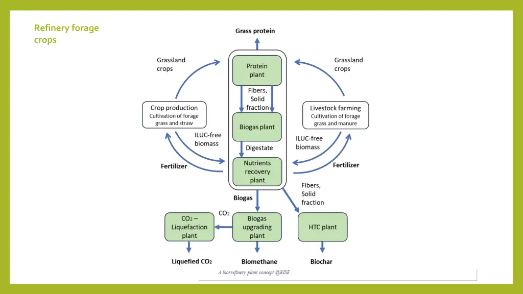 refinery forage crops