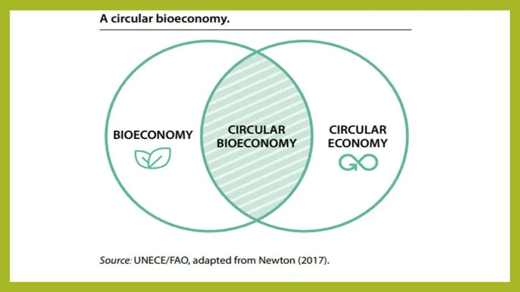 slide6
