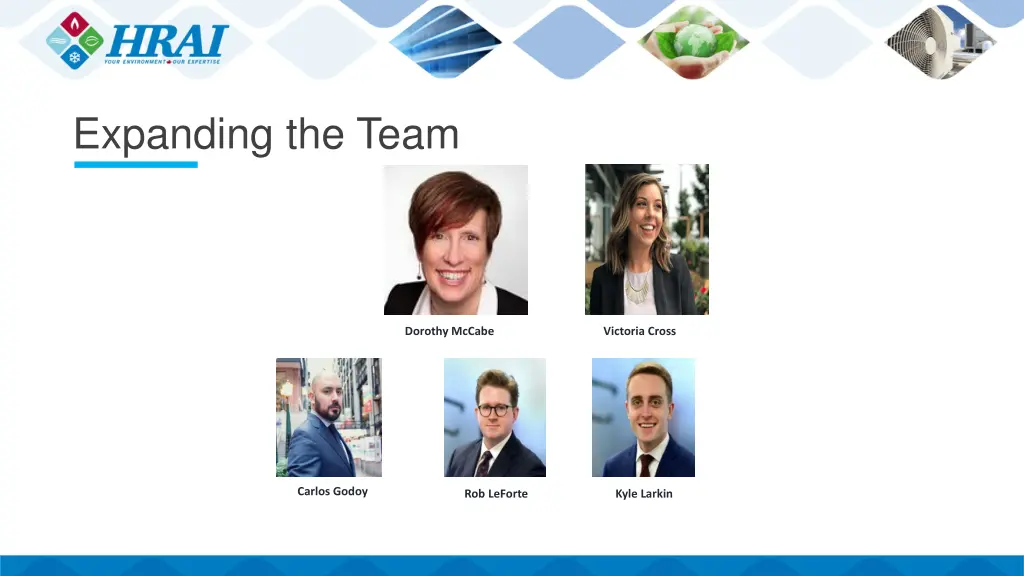 expanding the team