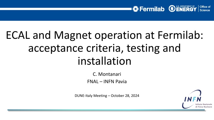 ecal and magnet operation at fermilab acceptance