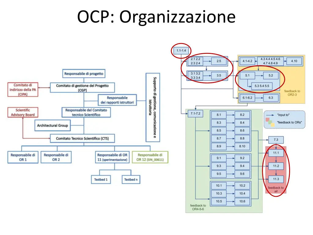 ocp organizzazione