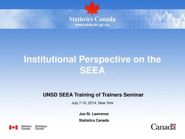 institutional perspective on the seea