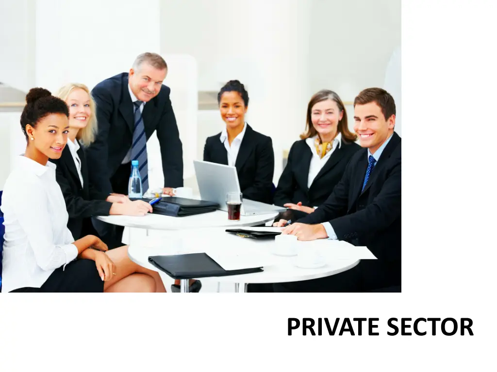 private sector