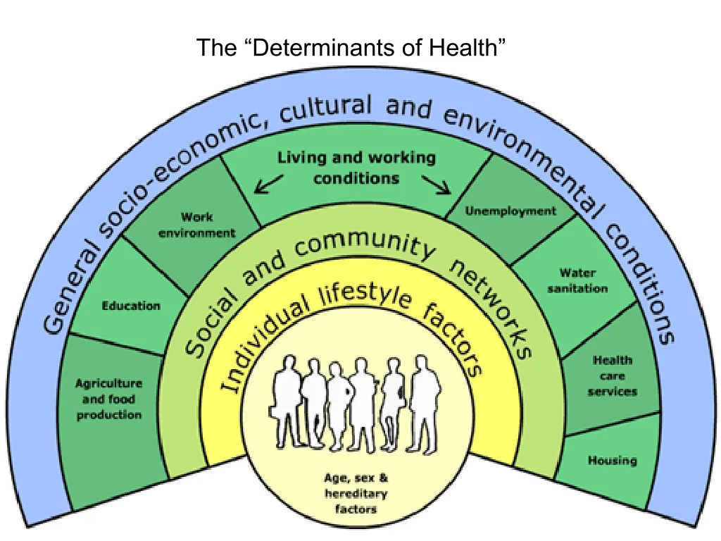 the determinants of health