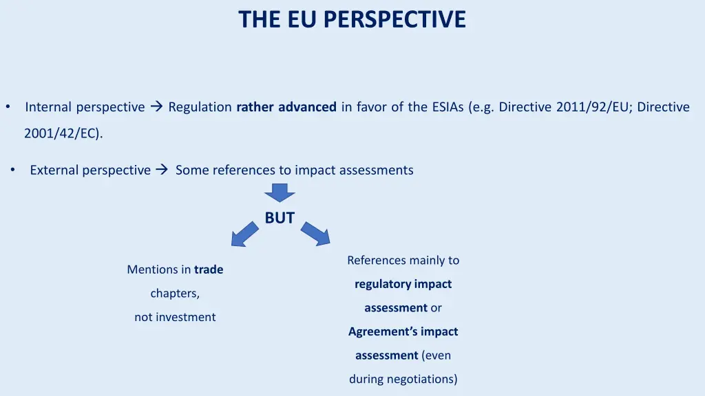 the eu perspective