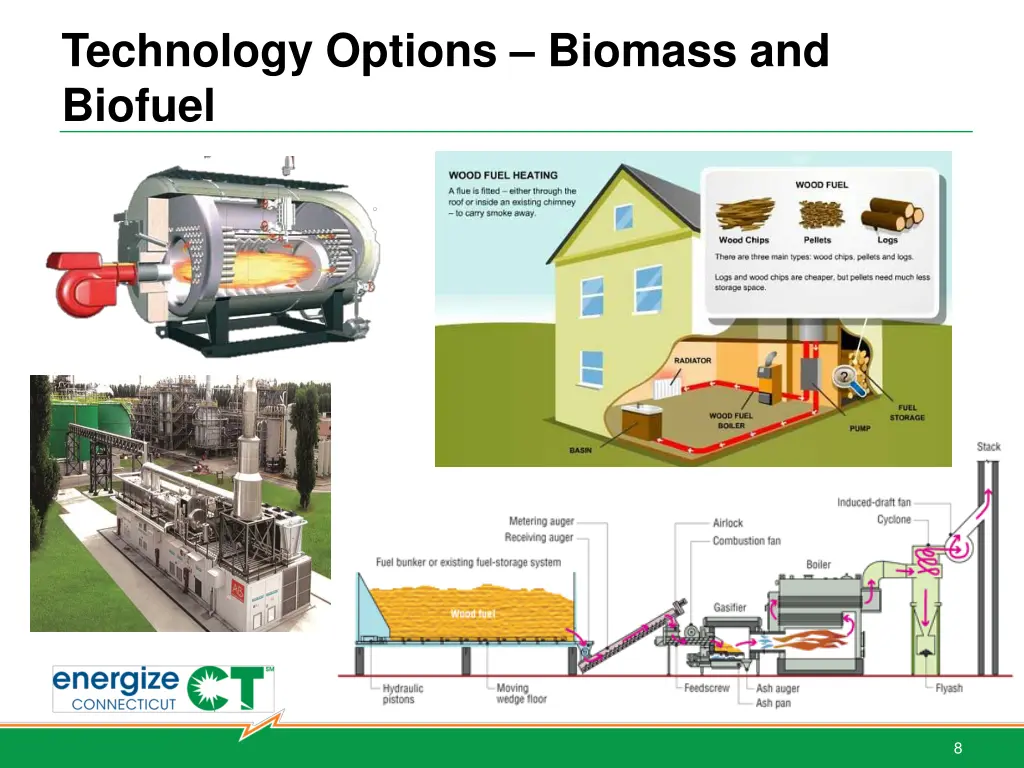 technology options biomass and biofuel